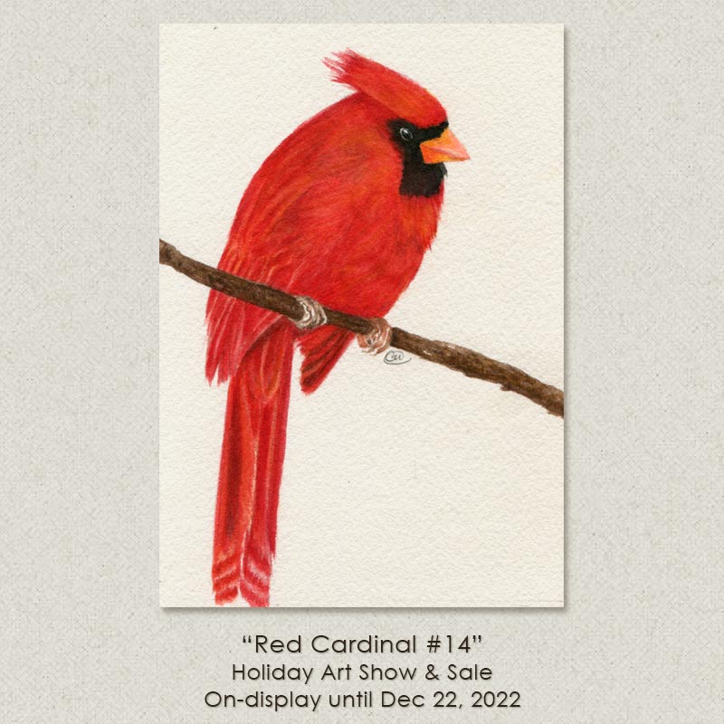 red Cardinal 14